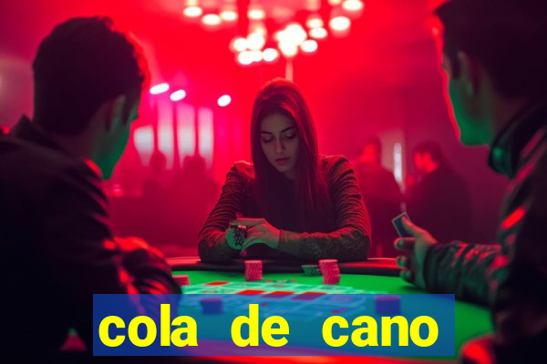 cola de cano quanto tempo para secar